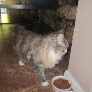 Meet your Posher, Christine